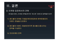 브랜드 자산을 활용한 마케팅 전략 에너지 드링크 RedBull-12