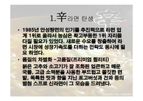 농심 신라면 분석 보고서-3