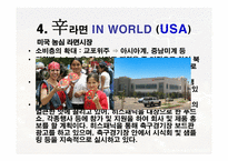 농심 신라면 분석 보고서-19