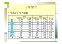 진로 참이슬의 성공전략-3