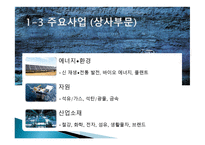 삼성물산의 국제 마케팅 전략-7
