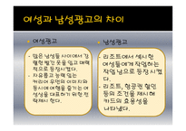 광고비 교분 석남 여광 고메 세지 전략 분석-11