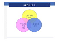 인적자원개발 레포트-2