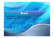 브라질 Brazil 레포트-1
