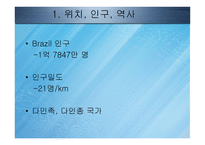 브라질 Brazil 레포트-5