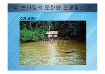 브라질 Brazil 레포트-12