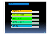 자동차산업 폭스바겐-2