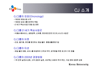 CJ성과보상 보고서-3