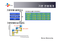 CJ성과보상 보고서-11