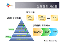 CJ성과보상 보고서-16