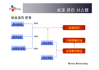 CJ성과보상 보고서-17