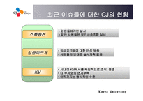 CJ성과보상 보고서-19