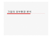 기업 의외 부환 경분석-1