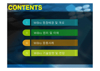 유비쿼터스로 가는 지름길 와 이브로-2