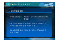 유비쿼터스로 가는 지름길 와 이브로-3