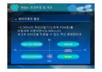 유비쿼터스로 가는 지름길 와 이브로-4