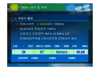 유비쿼터스로 가는 지름길 와 이브로-10
