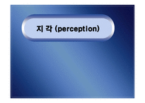지각 perception개론-1