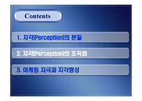 지각 perception개론-2