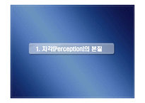지각 perception개론-3