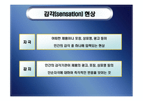 지각 perception개론-5