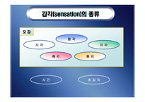 지각 perception개론-6