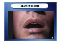 지각 perception개론-7