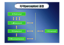 지각 perception개론-8