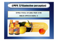 지각 perception개론-9