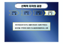 지각 perception개론-18