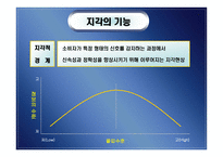 지각 perception개론-19