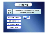 지각 perception개론-20