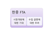 한중 FTA의 심층적 분석-2