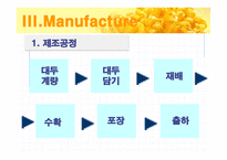 천연암반수 먹은 콩나물 사업계획서 늘푸름-10