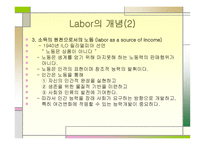 인적자원관리 전통적 조직-19