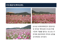 충청 관광권 관광자원론-19