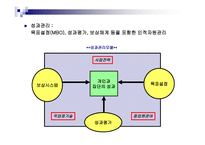 성과관리 개요 레포트-2