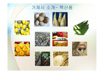 거제문화관광 보고서-6