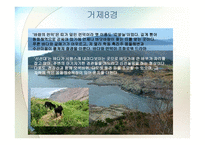 거제문화관광 보고서-13