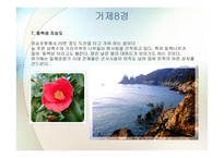 거제문화관광 보고서-14