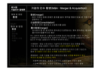 기업 인수합병론-4