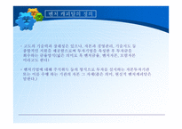 중소 기업론 벤처캐피털 VentureCpatal의 정의와 생성 발전-2