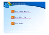 중소 기업론 벤처캐피털 VentureCpatal의 정의와 생성 발전-10