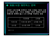 경영전략과 기업문화전략보고서-13