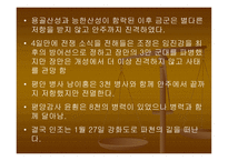병자호란 개론 레포트-12