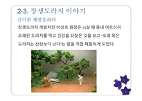 마케팅 관리 장생도라지 마케팅 분석-10