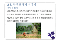 마케팅 관리 장생도라지 마케팅 분석-12