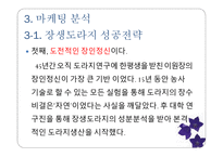 마케팅 관리 장생도라지 마케팅 분석-15