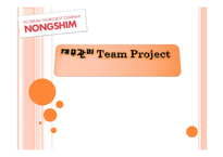 농심 재무관리 TeamProject-1