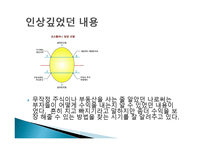 시골의사의 부자 경제학-7